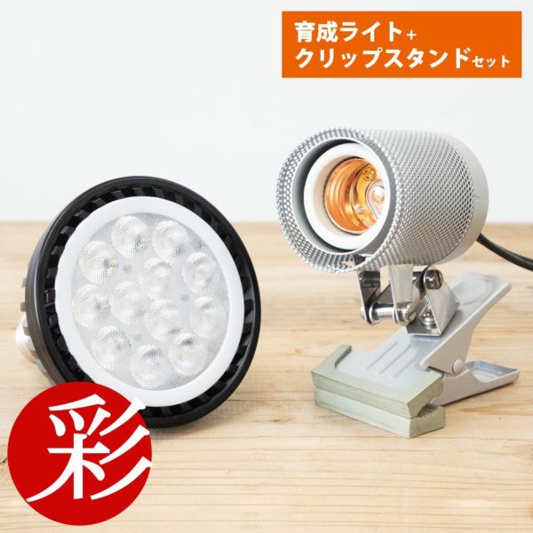 観葉植物用育成ライト＋クリップスタンドセット PLANTS NEXLIGHT PAR30 LED電球 E26口金用 100V 10.5W 植物育成ライト  白色光 電球色 クリップスタンドテラ CLIP STAND TERRA カミハタ