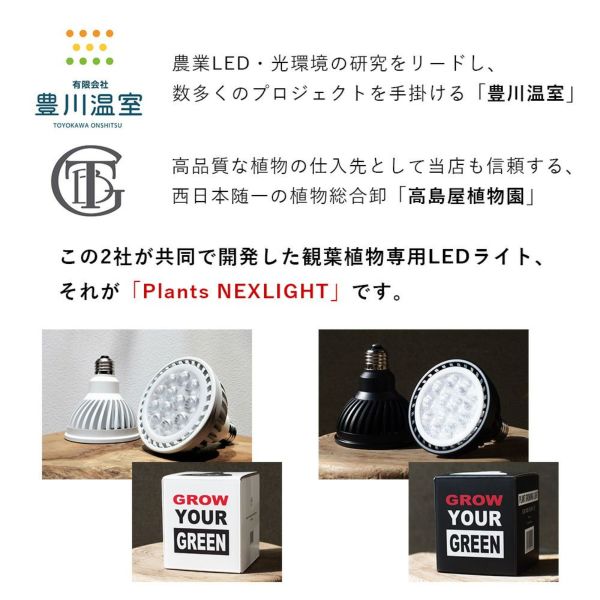 観葉植物用育成ライト＋クリップスタンドセット PLANTS NEXLIGHT PAR30 LED電球 E26口金用 100V 10.5W 植物育成ライト  白色光 電球色 クリップスタンドテラ CLIP STAND TERRA カミハタ