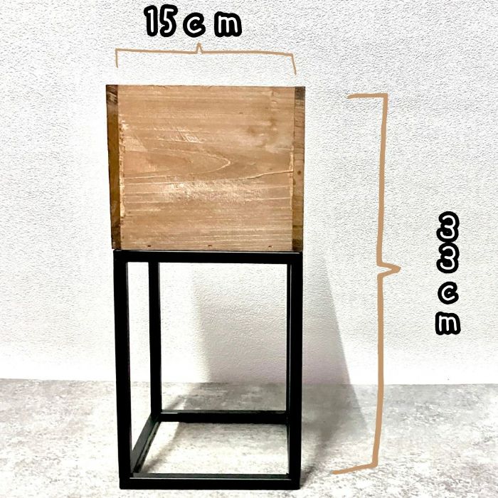 観葉植物現品販売