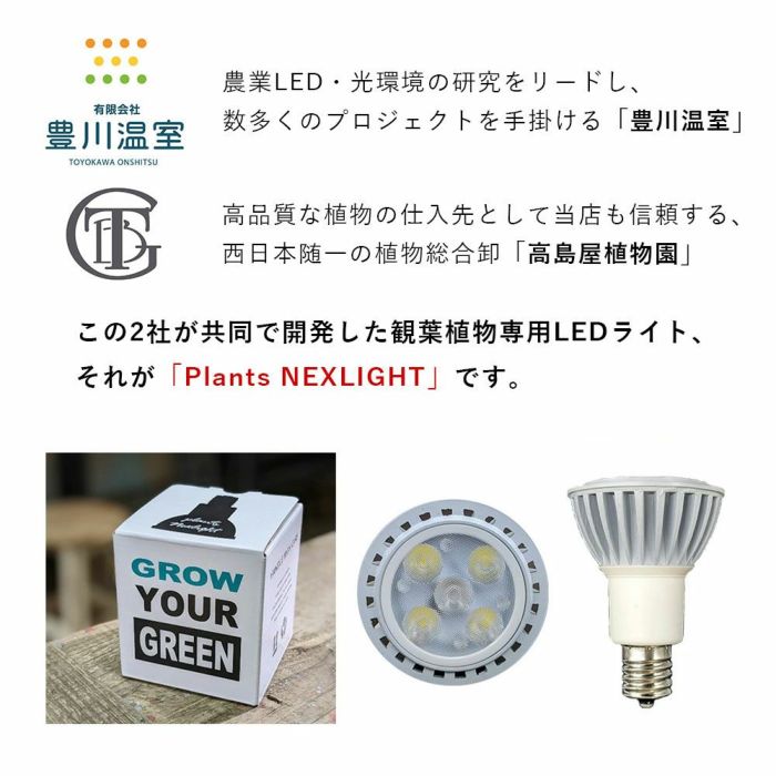 選べる ミニ 観葉植物 + ミニ観葉植物用育成ライト