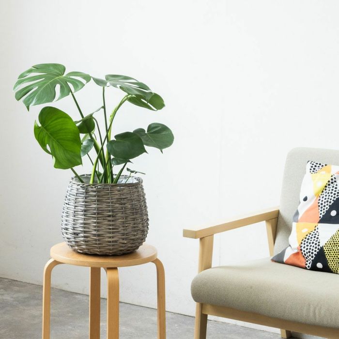  ボールバスケット鉢カバー 6号用