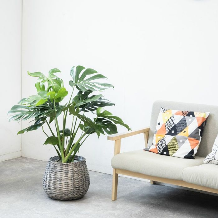 モンデリックボールバスケット 7号鉢・8号鉢兼用 鉢カバー