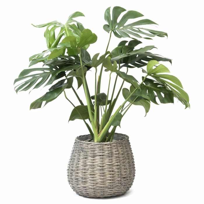 モンデリックボールバスケット 7号鉢・8号鉢兼用 鉢カバー