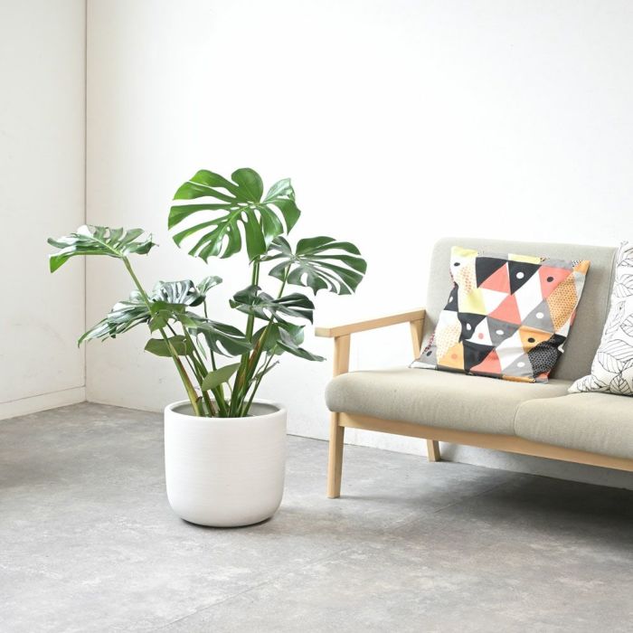 ルーケト鉢カバー 7号・8号共通