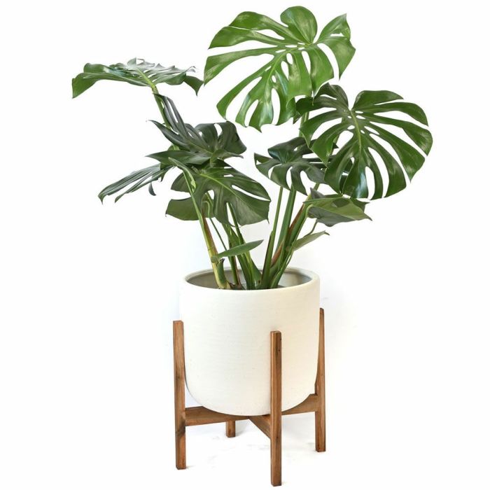 ルーケト鉢カバー 7号・8号共通