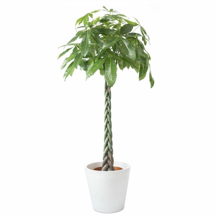 ガルボ garbo 10号鉢カバー