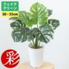  人工観葉植物 フェイクグリーン モンステラ プラ鉢ロングポット