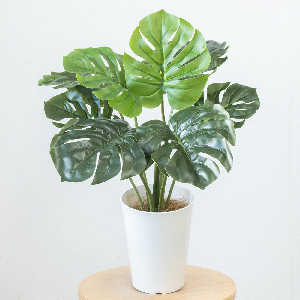  人工観葉植物 フェイクグリーン モンステラ プラ鉢ロングポット