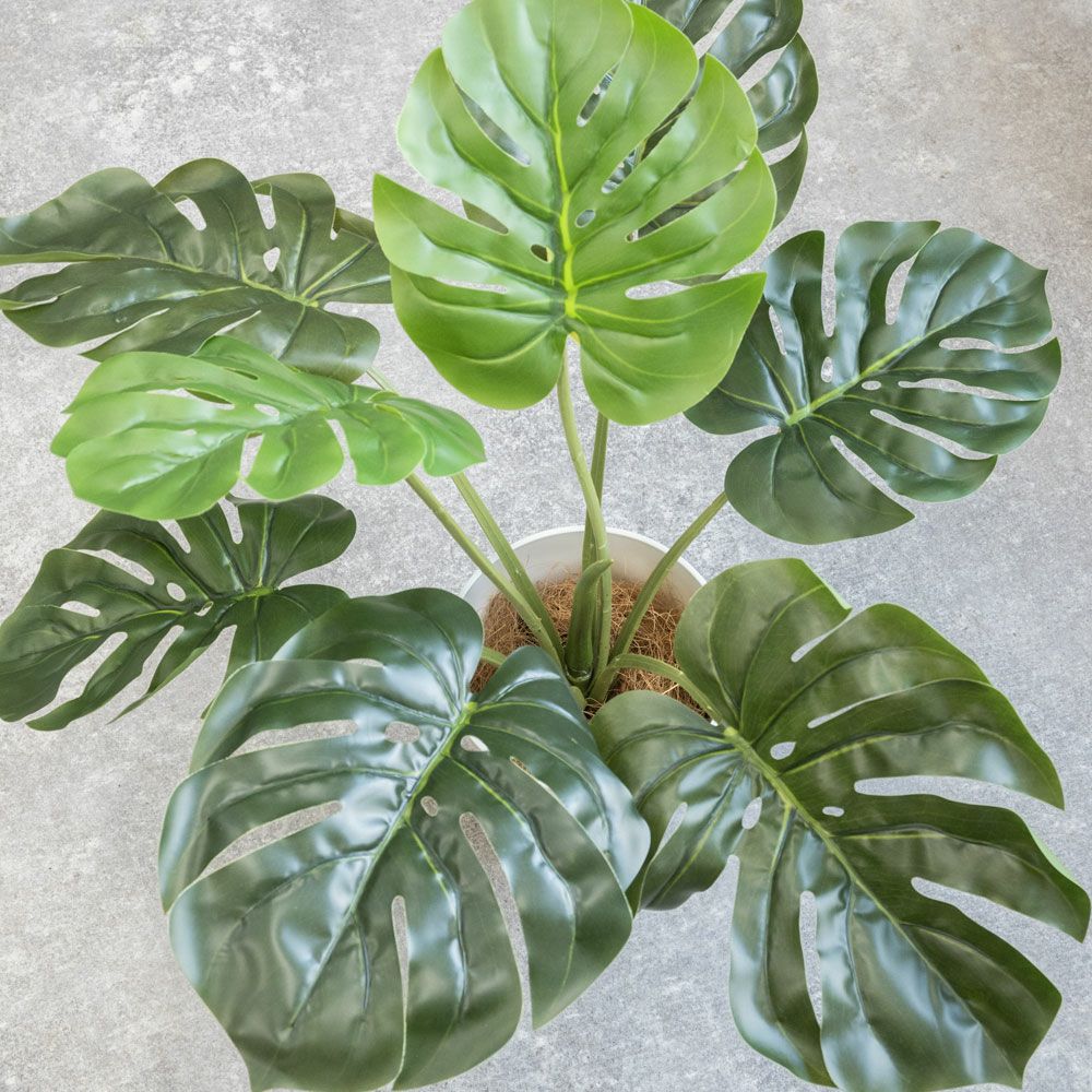  人工観葉植物 フェイクグリーン モンステラ プラ鉢ロングポット
