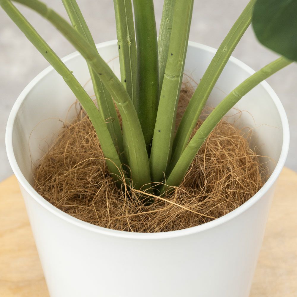 人工観葉植物 フェイクグリーン モンステラ プラ鉢 ロング ポット
