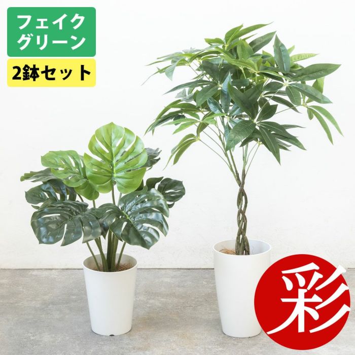 人工観葉植物 フェイクグリーン パキラ モンステラ 2鉢セット プラ鉢ロングポット