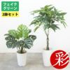 人工観葉植物 フェイクグリーン パキラ モンステラ 2鉢セット プラ鉢ロングポット