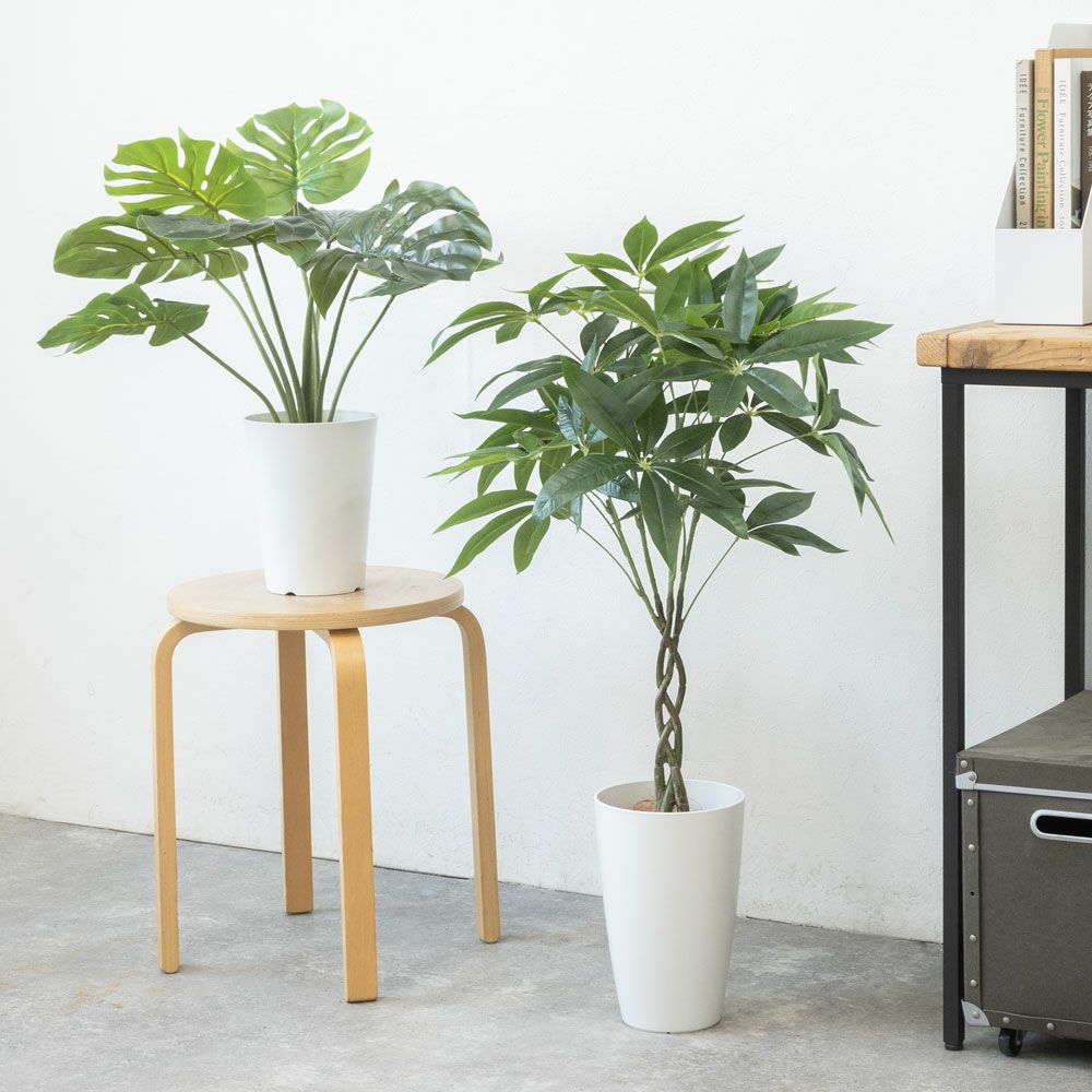 人工観葉植物 フェイクグリーン パキラ モンステラ 2鉢セット プラ鉢ロングポット