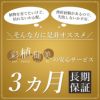 安心の3ヵ月保証付き 観葉植物 本物 モンステラ 6号鉢 プラ鉢ホワイトポット 初心者