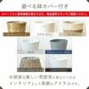 高性 チャメドレア 10号鉢 選べる鉢カバー付き 観葉植物 本物