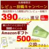 高性 チャメドレア 10号鉢 選べる鉢カバー付き 観葉植物 本物
