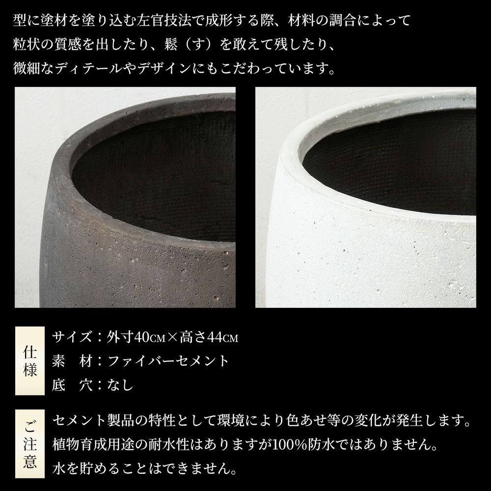 ホンコンカポック 10号鉢 ファイバーストーン(陶器)鉢カバー付き 観葉植物 本物