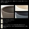  アレカヤシ 10号鉢 ポリストーン鉢カバー付き 陶器調 観葉植物 本物