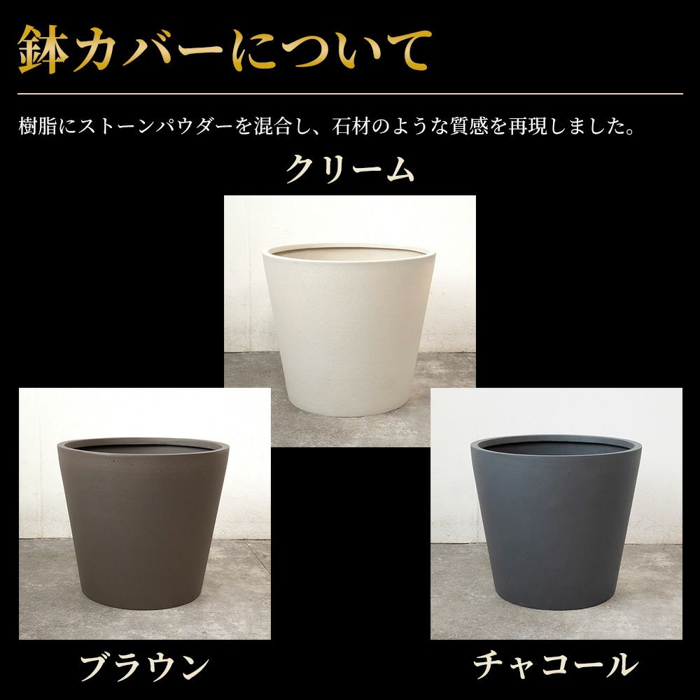 ポトス・タワー仕立て 10号鉢 ポリストーン鉢カバー付き 陶器調 観葉植物 本物