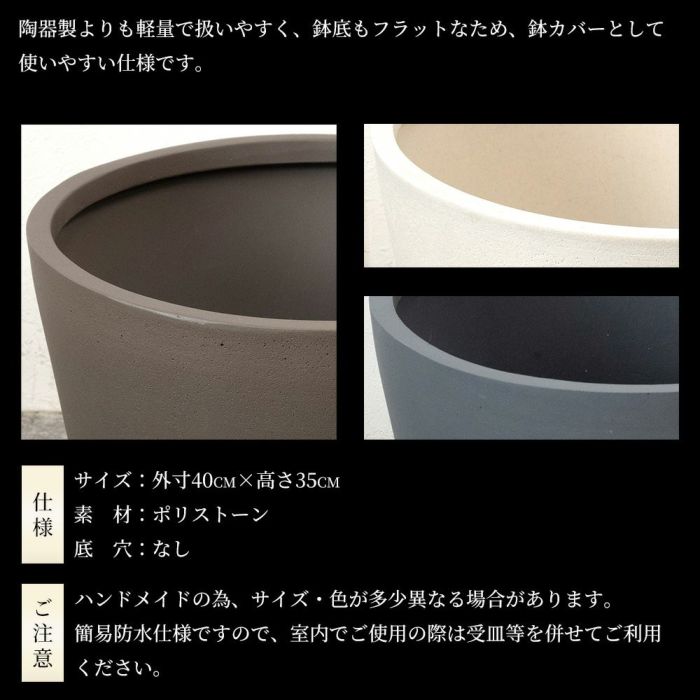  フィカス ベンガレンシス ベンガルボダイジュ 曲がり樹形 10号鉢 ポリストーン鉢カバー付き 陶器調 観葉植物 本物